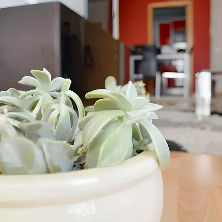 شقة Chic 60 M² + Balcony هيبيرا غْريندي