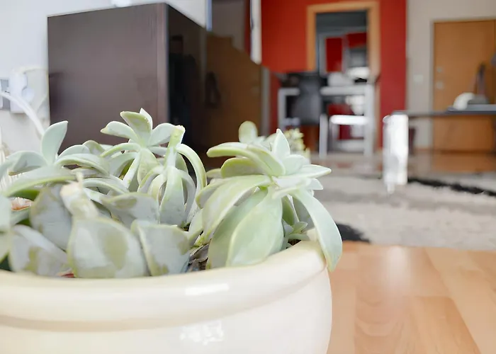 Apartament Chic 60 M² + Balcony Ribeira Grande